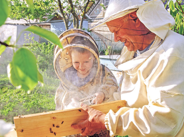 Бечом зуји 200 милиона пчела! 